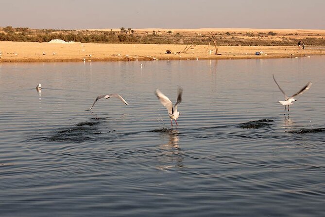 Private Day Tour to Al Faiyum Oasis and Wadi Al Rayan From Cairo - Inclusions