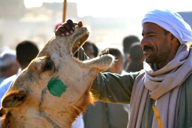 Private Day Tour to Camel Market of Birqash In Cairo - Logistics Information