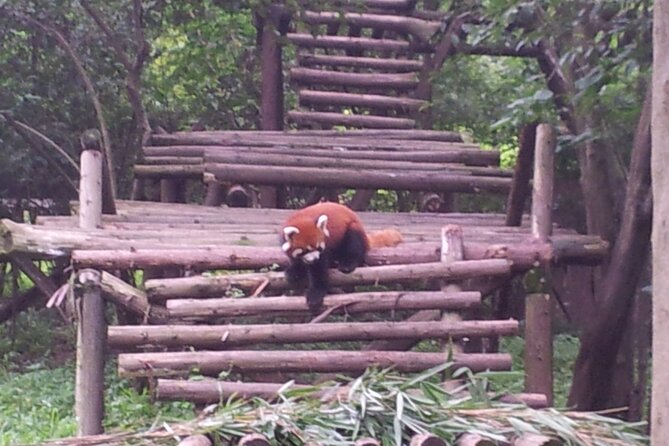 Private Day Tour to Dujiangyan Panda Base & Dam From Chengdu - Booking Process