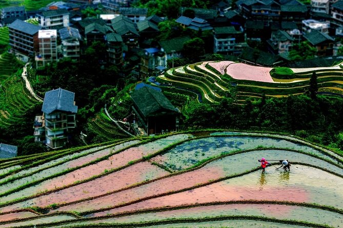 Private Day Tour to Longji Rice Terraces From Guilin - The Sum Up