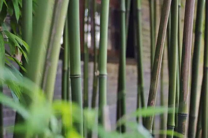 Private Day Tour to Shunde From Guangzhou: Qinghui Garden, Fengjian Water Town - Transportation Information