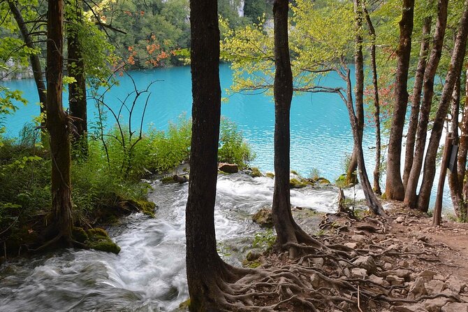 Private Day Trip From Zagreb To Plitvice Lakes Park, Local Driver - Accessibility Information