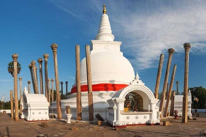 Private Day Trip to Anuradhapura Ancient City From Kandy/Dambulla - Pickup and Departure Details