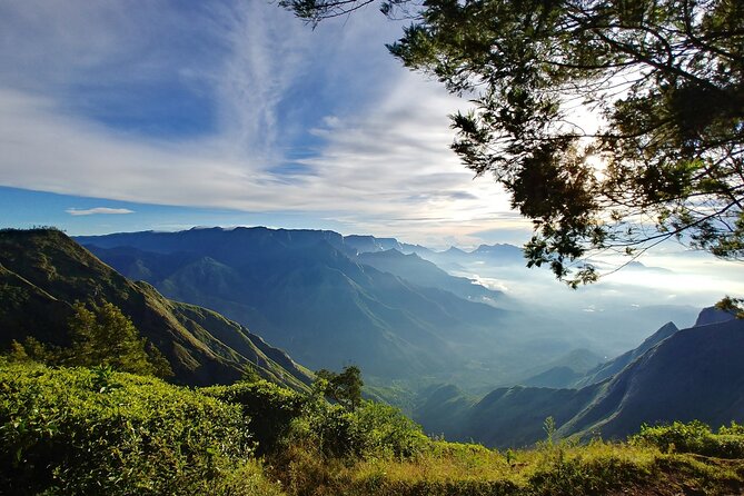 Private Day Trip to Munnar From Kochi (Cochin) - Pricing and Booking