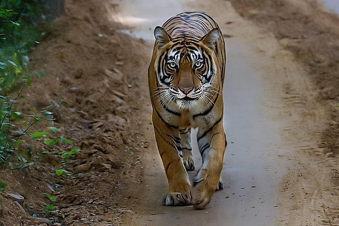 Private Delhi Agra Jaipur With Ranthambore National Park - Cancellation and Refund Policy