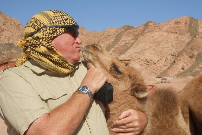 Private Full Day In Dahab From Taba Snorkel & Camel Ride With Lunch - Booking Information and Pricing