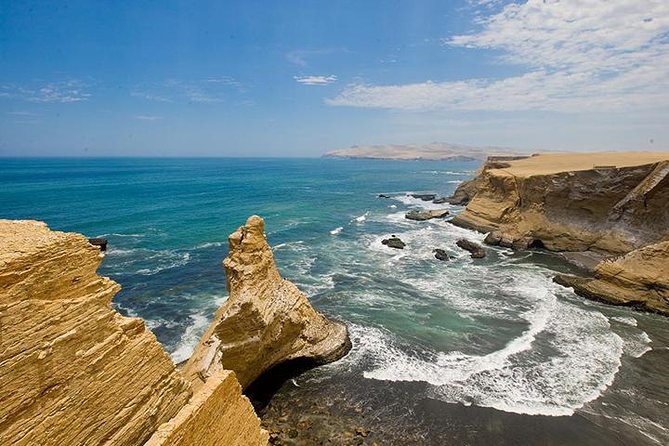 Private Full Day Paracas From Lima - Pricing and Reservation