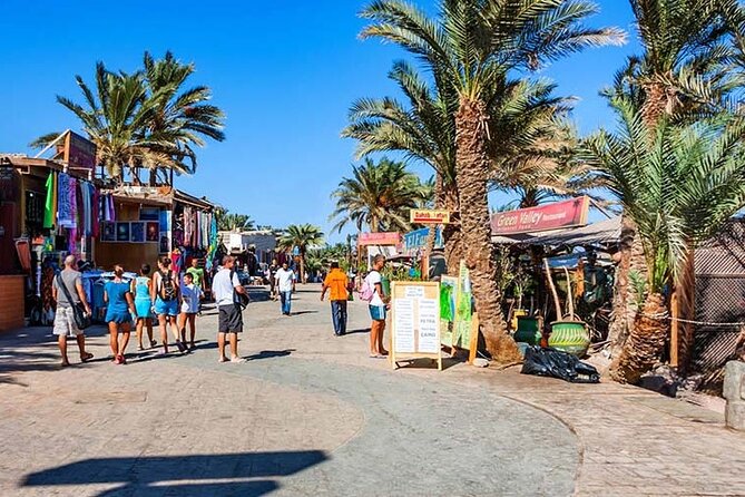 Private Full Day Snorkeling, Camel Ride Tour In Dahab From Sharm El Sheikh - Booking Process