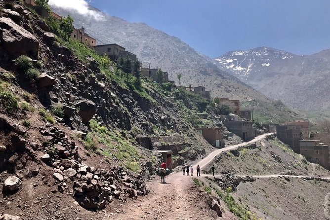 Private Full-Day Tour to the Atlas Mountains and Imlil Valley - Optional Activities