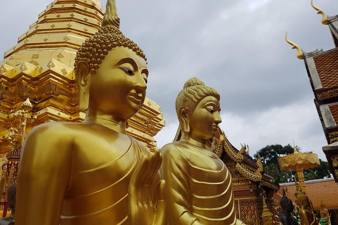 Private Guide: Doi Suthep and Wat Pha Lat Tour - Meeting Point Details