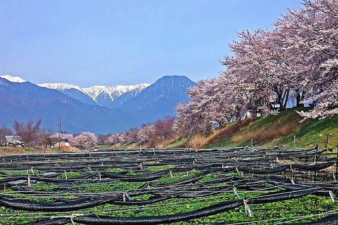 Private Guided Half Day Tour Visit in Nagano - Meeting Point