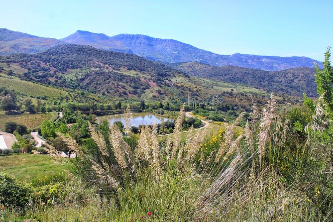 Private Guided Sicilian Winery Visit With Lunch - Frequently Asked Questions