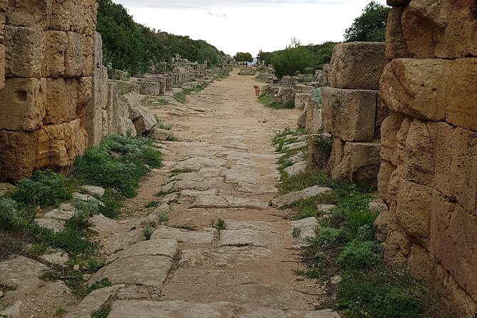 Private Guided Tour of the Selinunte Ruins - The Sum Up