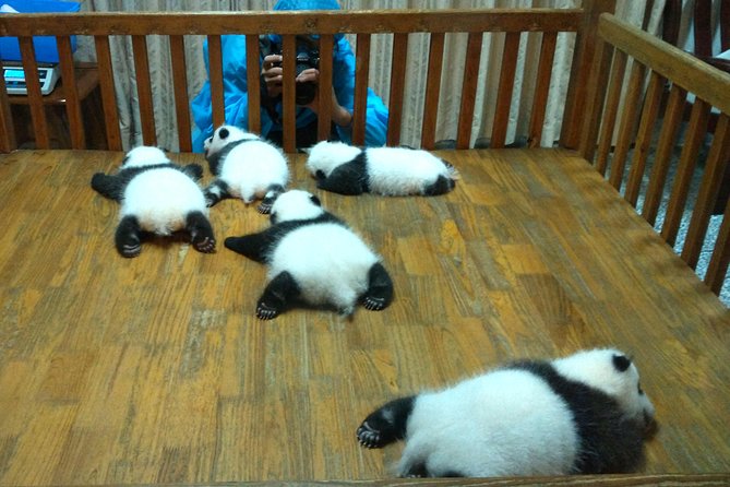 Private Half-Day Chengdu Panda Base Tour - Ticket Redemption Point Information