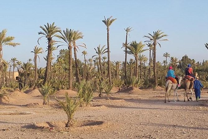 Private Half Day Quad & Camel Adventure in Marrakech - Additional Tips for Travelers