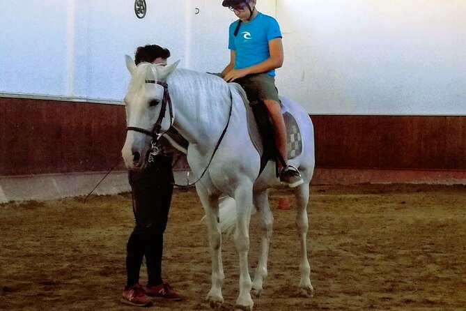 Private Half Day Tour in Lusitanian Horses and Photography Museum - Additional Experiences