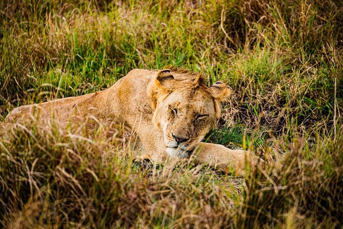 Private Half Day Tour in Maasai Mara - Cancellation Policy