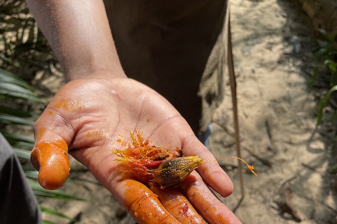 Private Hiking in Masingini Forest From Stone Town - Accessibility