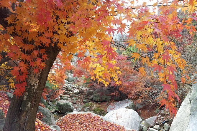 Private Hiking to Bukhansan & Korean Style Spa(Include Lunch) - Customer Reviews & Recommendations