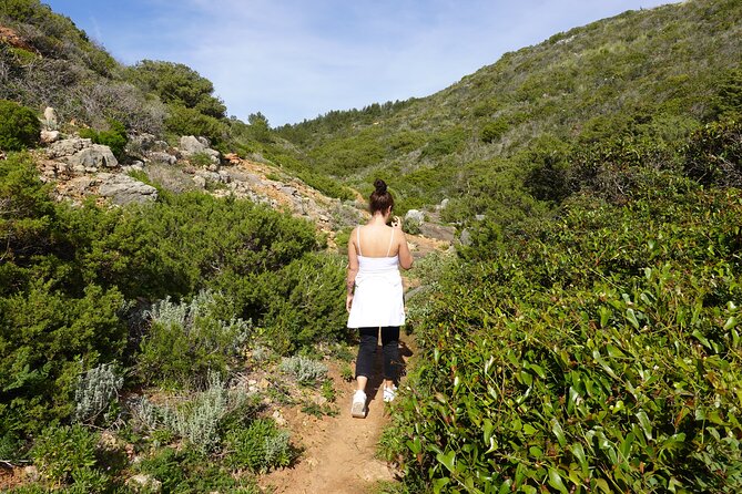 Private Hiking Tour Along the Last Wild Side of the South Coast - Operator Information