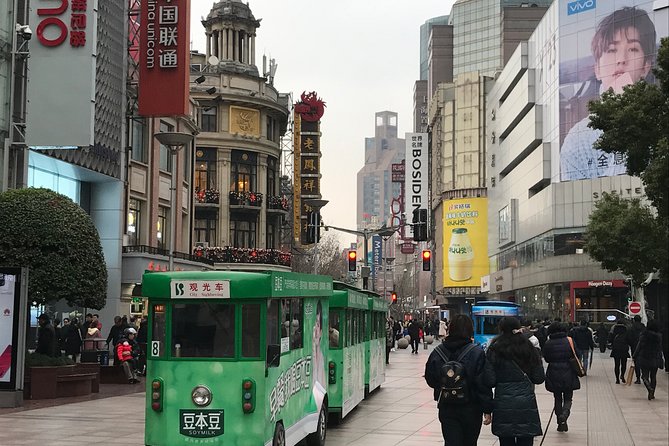Private Historical Tour of Shanghai Museum Yu Garden and Tower - Private Transport Details