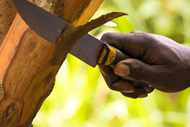 Private Jozani Forest Tour With Spice Farm Experience - Tour Operator Information