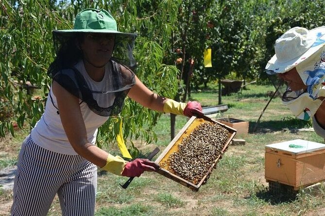 Private Katakolo Tour Visit of Marble Art Workshop & Honey Farm - Additional Information