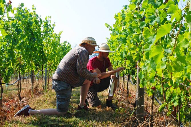 Private Lavish Wine Tour Visiting Emponas, Kritinia and Pataludes Wine Producers - Operator Credentials