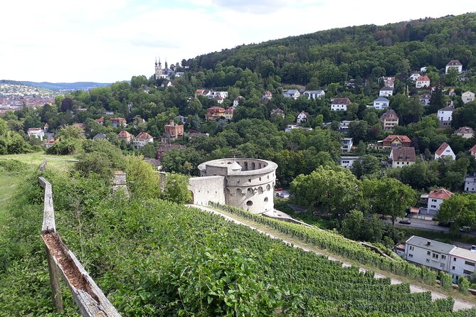 Private Mulled Wine Rally in Würzburg Vineyards - The Sum Up