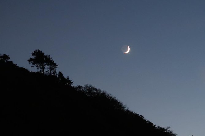 Private Night Walk: Sintra, Dreams in the Woods - Frequently Asked Questions