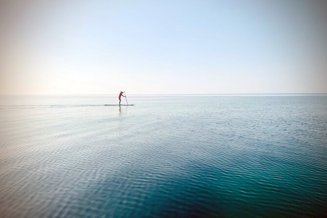Private Paddle Board Tour to Ladram Bay From Sidmouth - What to Bring