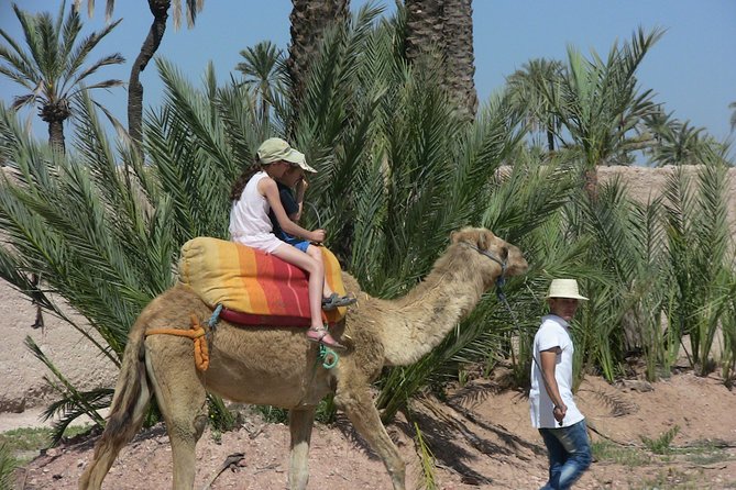 Private Palm Grove Camel Ride With A Tea Break. - Booking Details