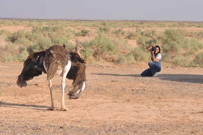 Private Shaumari Wildlife Experience and Overnight at Azraq Wetland Reserve. - Free Cancellation Policy