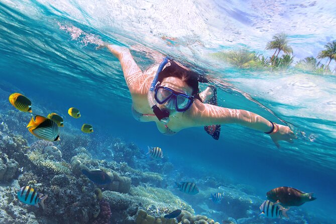 Private Speedboat and Snorkeling Trip to Eden Island - Hurghada - Booking Information