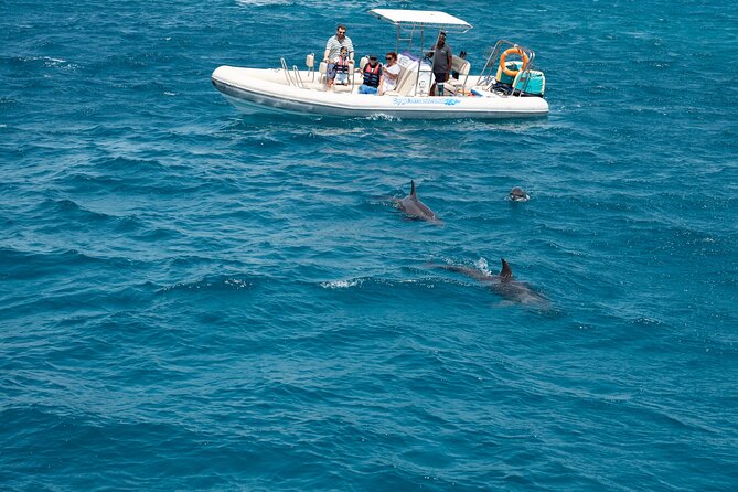 Private Speedboat to Orange & Paradise Island Hurghada - Additional Transfer Fees