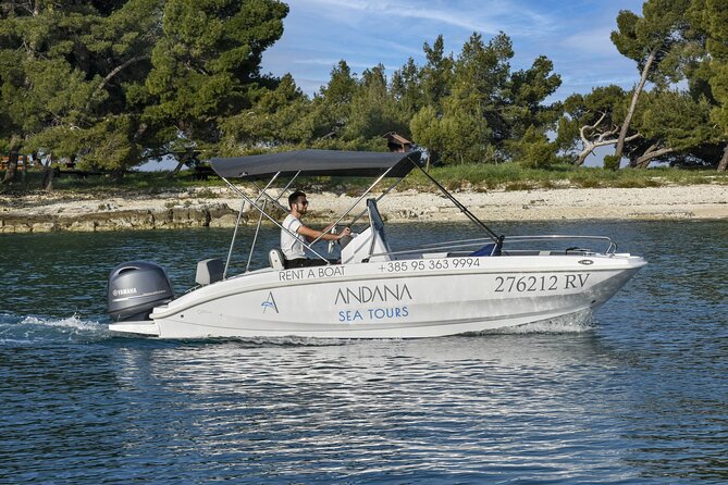Private Sunrise Dolphin Watching With Drinks in Rovinj - Reservation and Requirements