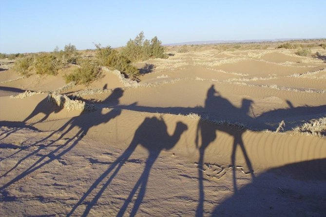 Private Sunset Camel Ride in the Palm Grove of Marrakech Palmeraie:Private Tour - Meeting and Pickup Details