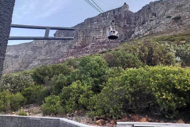 Private Table Mountain AFROGEM and Robben Island Full Day Tour - Start Time