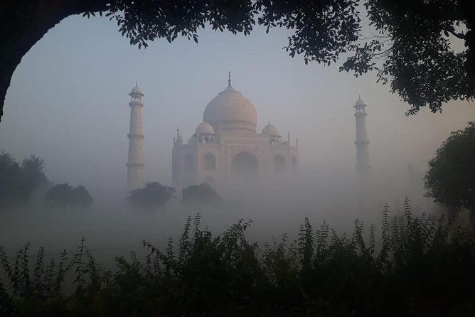 Private Tajmahal & Agra Fort Tour From Delhi by Train - Professional Linguistic Guide