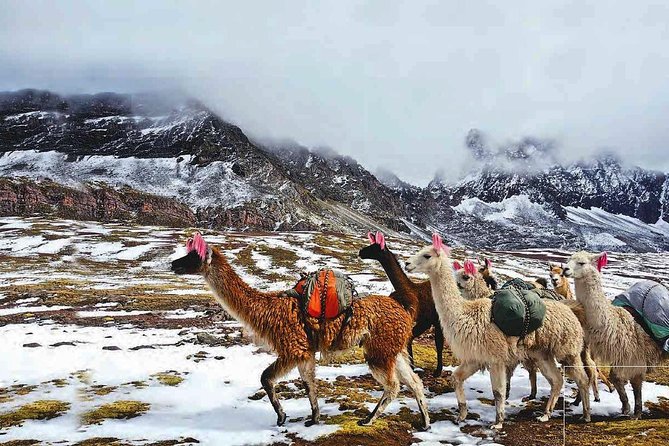 Prívate Tour 7-Day: Cusco || MachuPicchu || Rainbow Mountain ||Humantay Lake|| - The Sum Up