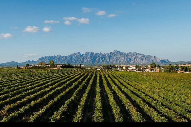 Private Tour From Barcelona to Costa Brava - The Sum Up