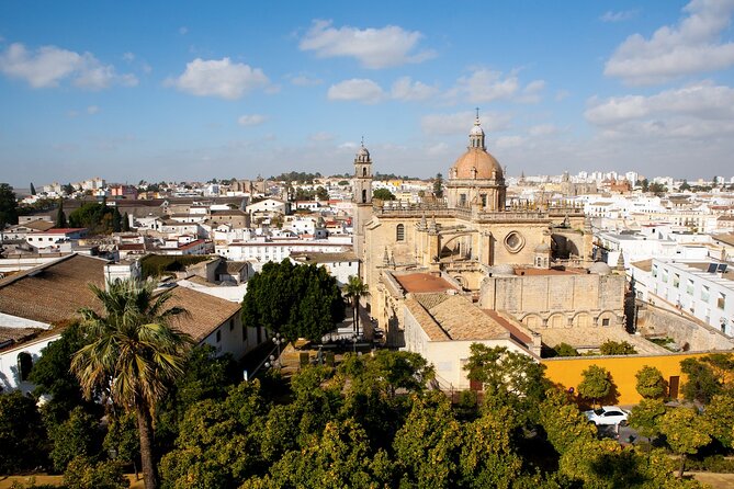 Private Tour of Cadiz and Jerez De La Frontera From Seville - Tour Operator Details
