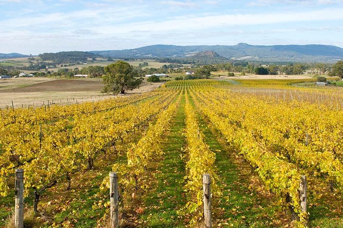 Private Tour: Sighnaghi, Bodbe (Free Wine Tasting) - Operator Details