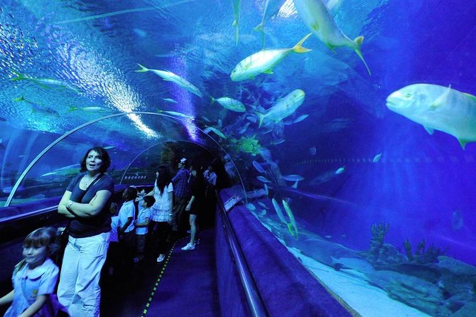 Private Tour : Skip The Line Petronas Twin Towers, Petrosains & Aquaria KLCC - Frequently Asked Questions