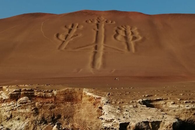 Private Tour to Ballestas Islands, Ica and Huacachina Including Sandboarding! - The Sum Up