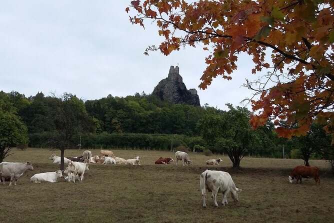 Private Tour To Czech Paradise From Prague - Price and Inclusions