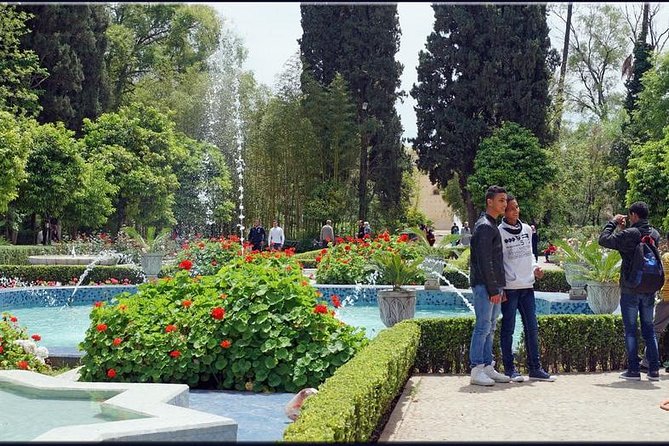 Private Tour:Fez in One Day Sightseeing Tour Including Blue Gate, The Tannery.. - Accessibility Information