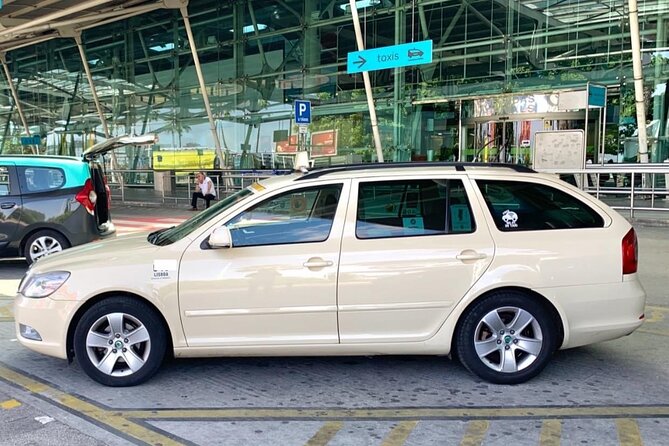 Private Transfer From Lisbon to Algarve or Algarve to Lisbon - Infant and Pet Accommodations