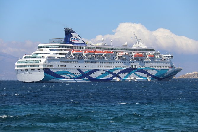 Private Transfers To/From Dover Cruise Port and London City Airport - Professional Driver Assistance