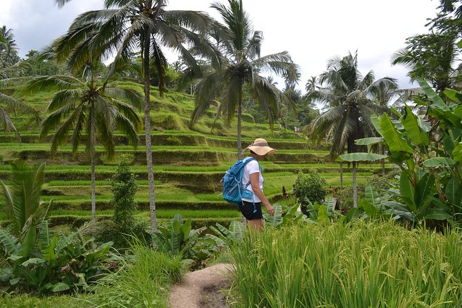 Private Ubud Cretya Tours - Frequently Asked Questions